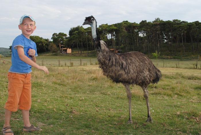 フォルカルキエ Domaine Du Bas Chalusヴィラ エクステリア 写真